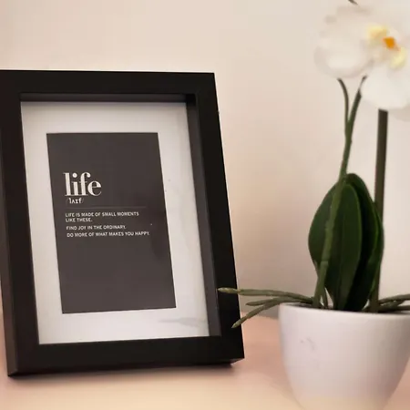 Appartement Joy Splaiul Nistrului 16