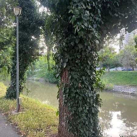 Apartment Joy Splaiul Nistrului 16 *