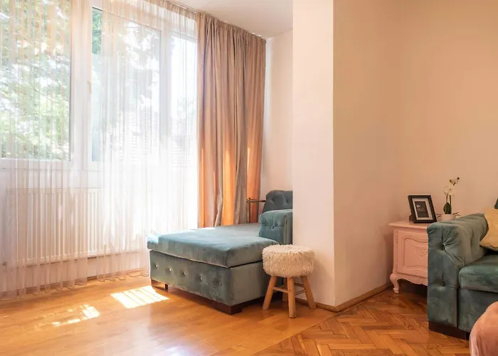 Joy Splaiul Nistrului 16 * Timisoara