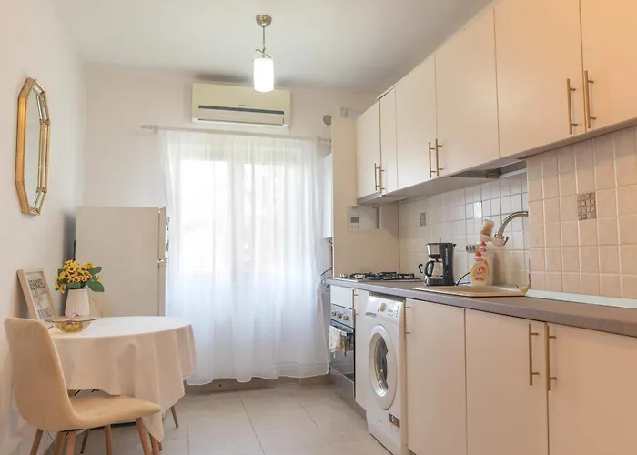 Apartment Joy Splaiul Nistrului 16 *