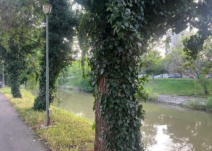 Apartment Joy Splaiul Nistrului 16 *