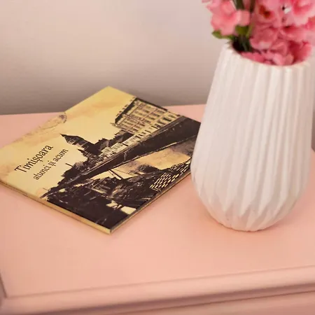 Joy Splaiul Nistrului 16